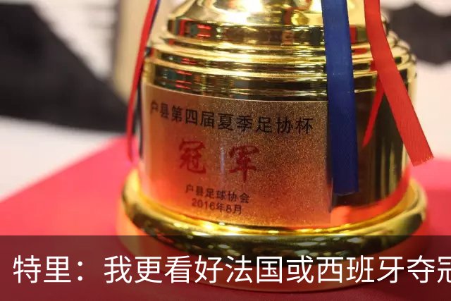 特里：我更看好法国或西班牙夺冠 英格兰队应带上马奎尔&帕尔默
